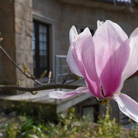 Alvores Do Tempo - Quinta De Turismo Rural Hostal Castro Daire Exterior foto