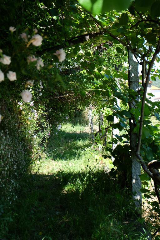 Alvores Do Tempo - Quinta De Turismo Rural Hostal Castro Daire Exterior foto