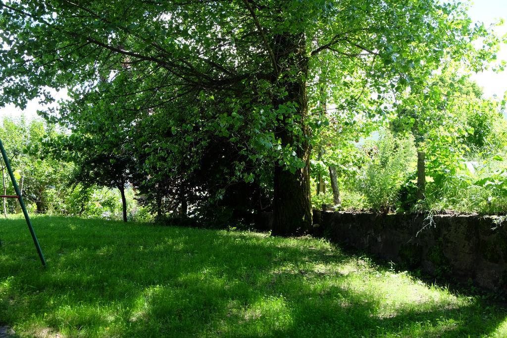 Alvores Do Tempo - Quinta De Turismo Rural Hostal Castro Daire Exterior foto