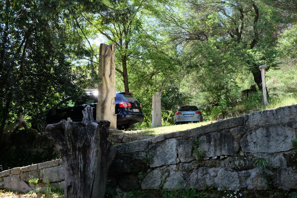 Alvores Do Tempo - Quinta De Turismo Rural Hostal Castro Daire Exterior foto