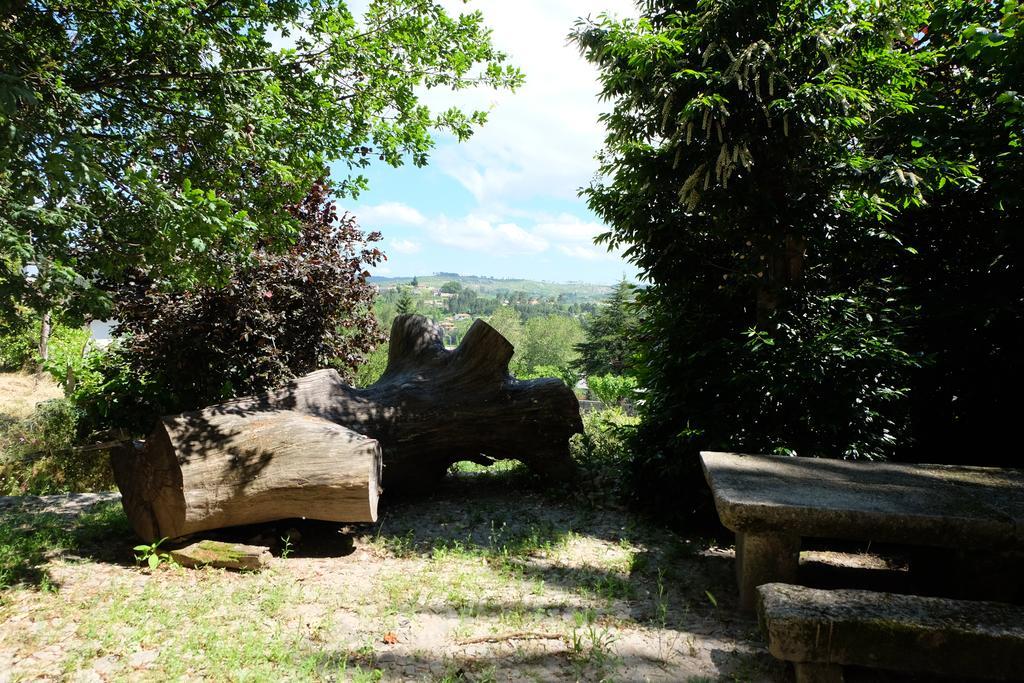 Alvores Do Tempo - Quinta De Turismo Rural Hostal Castro Daire Exterior foto