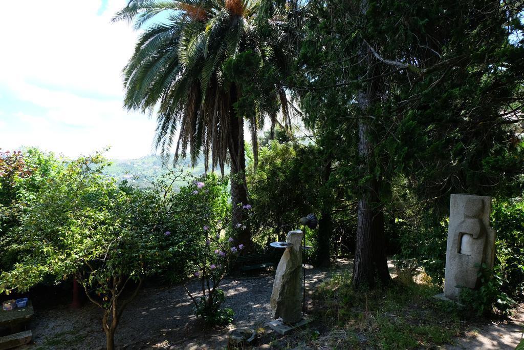 Alvores Do Tempo - Quinta De Turismo Rural Hostal Castro Daire Exterior foto