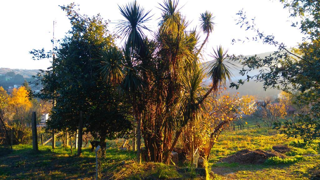 Alvores Do Tempo - Quinta De Turismo Rural Hostal Castro Daire Exterior foto